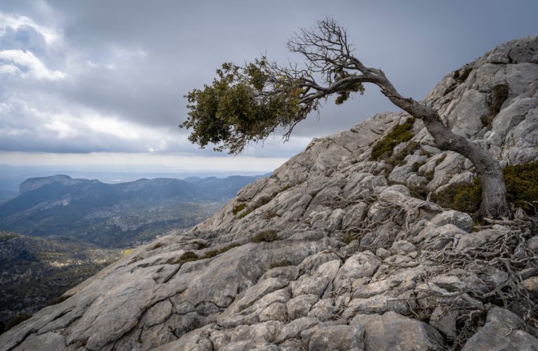 Melbourne: The Importance of Resilience in Overcoming Trauma